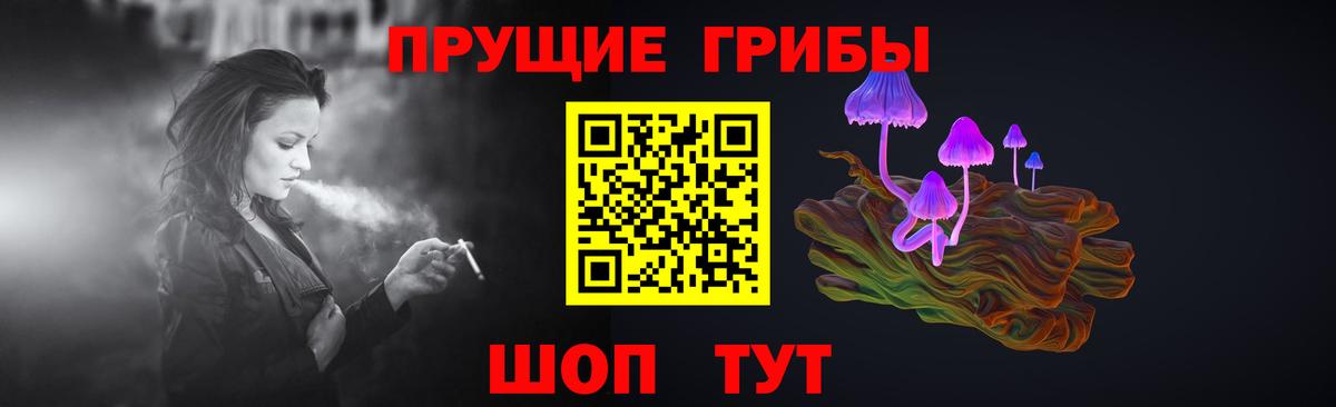 Галлюциногенные грибы Psilocybe Шарыпово